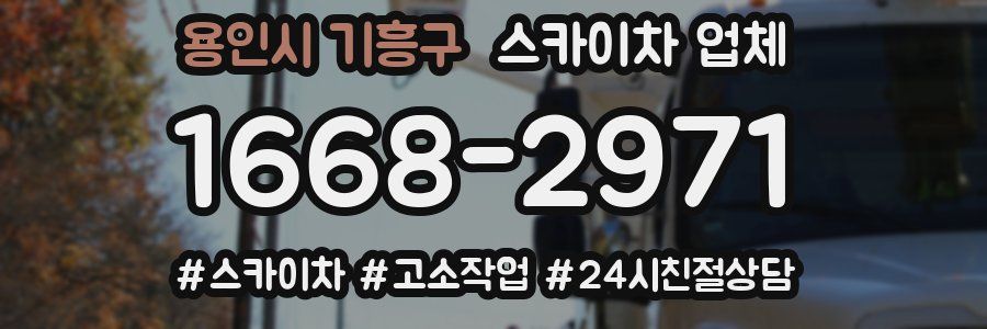 용인시 기흥구 스카이차 업체