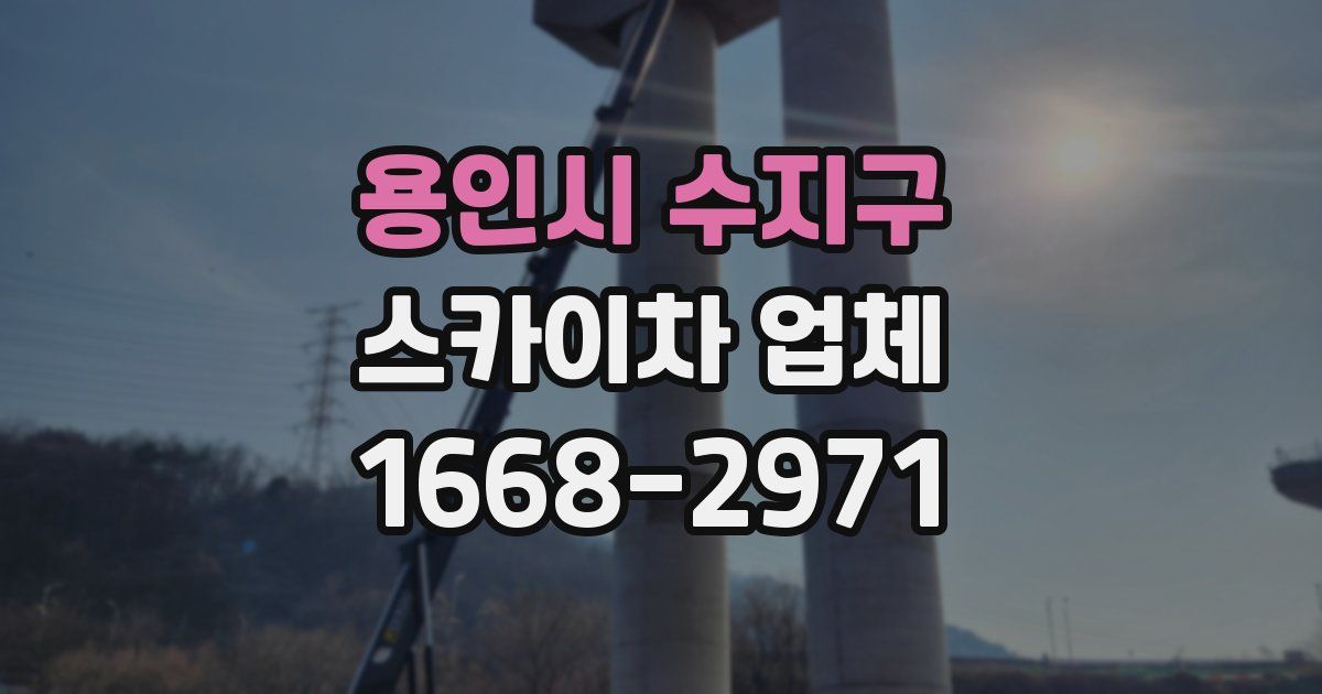 용인시 수지구 스카이차 업체