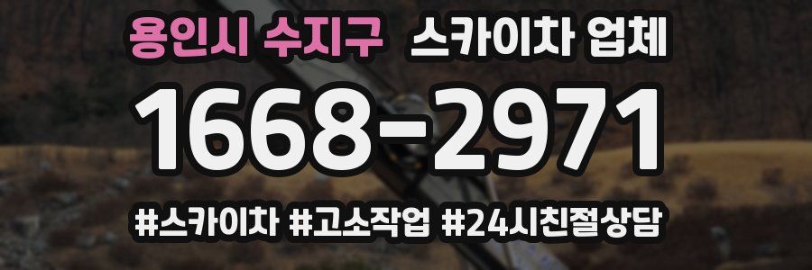 용인시 수지구 스카이차 업체