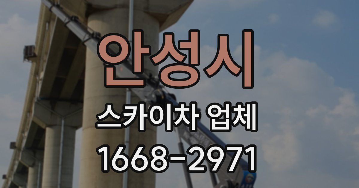 안성시 스카이차 업체