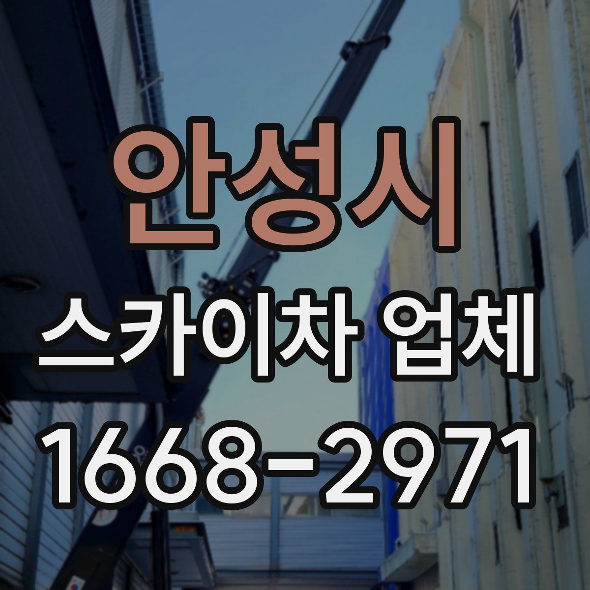 안성시 스카이차 업체