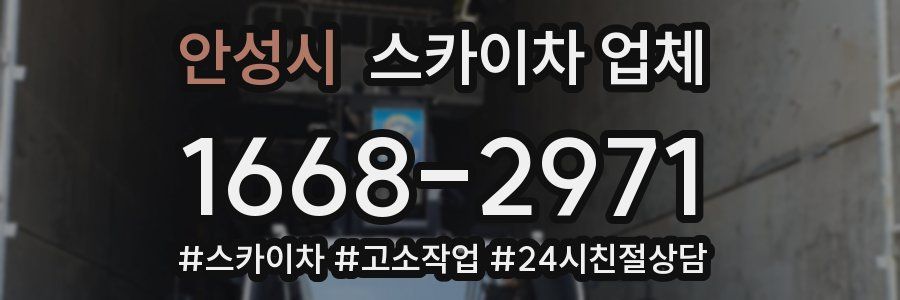 안성시 스카이차 업체
