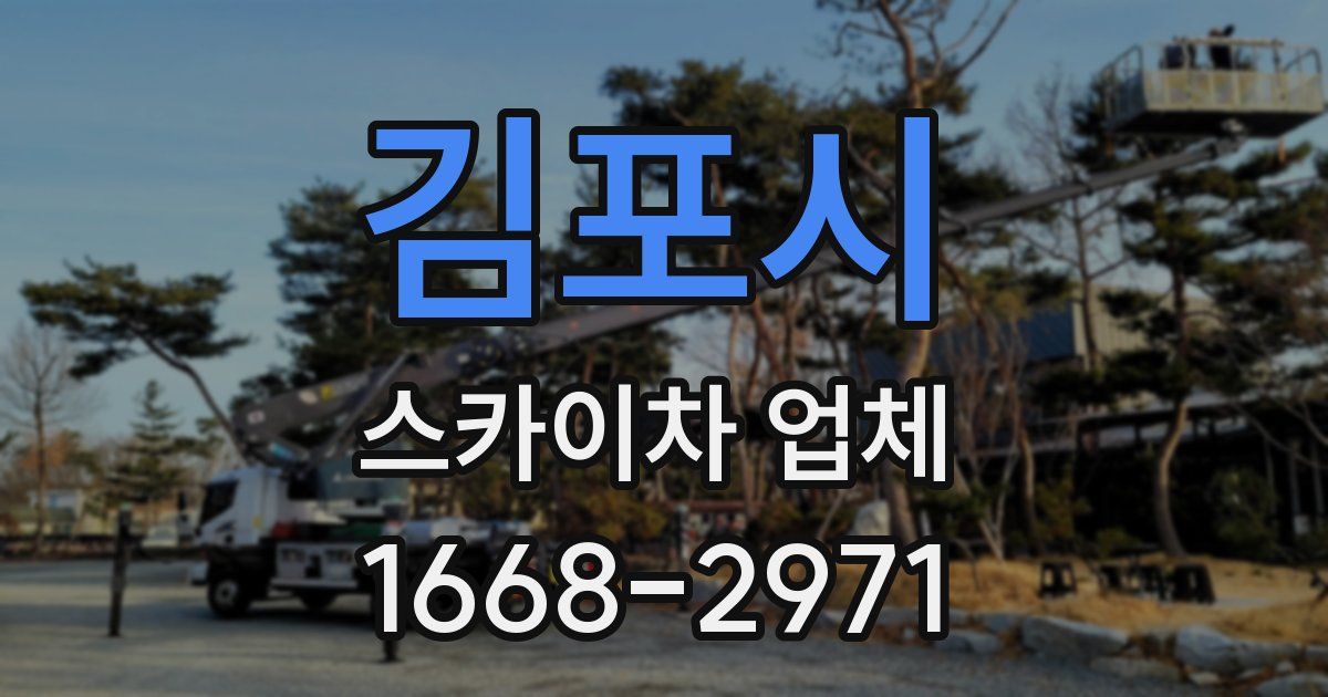 김포시 스카이차 업체