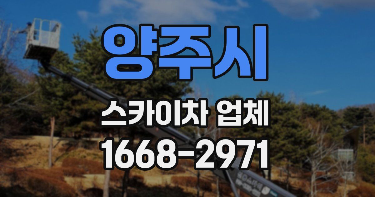양주시 스카이차 업체