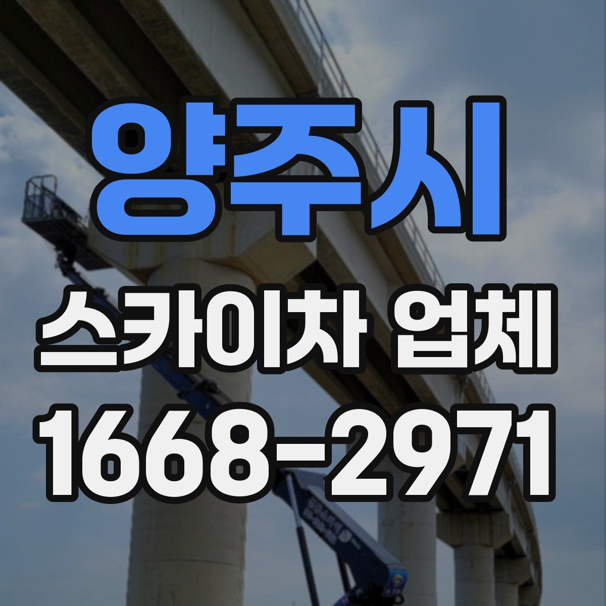 양주시 스카이차 업체