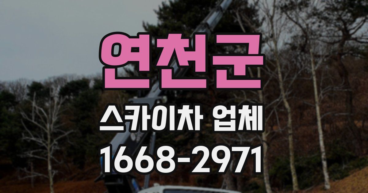 연천군 스카이차 업체