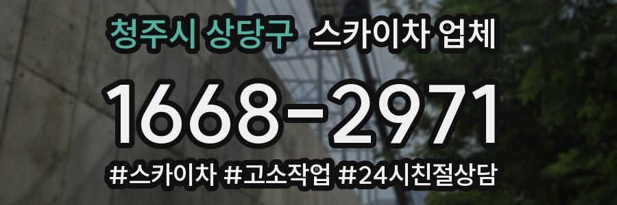 청주시 상당구 스카이차 업체
