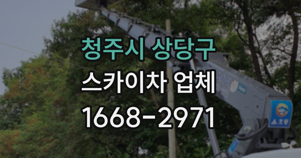 청주시 상당구 스카이차 업체
