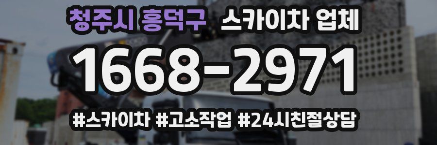 청주시 흥덕구 스카이차 업체