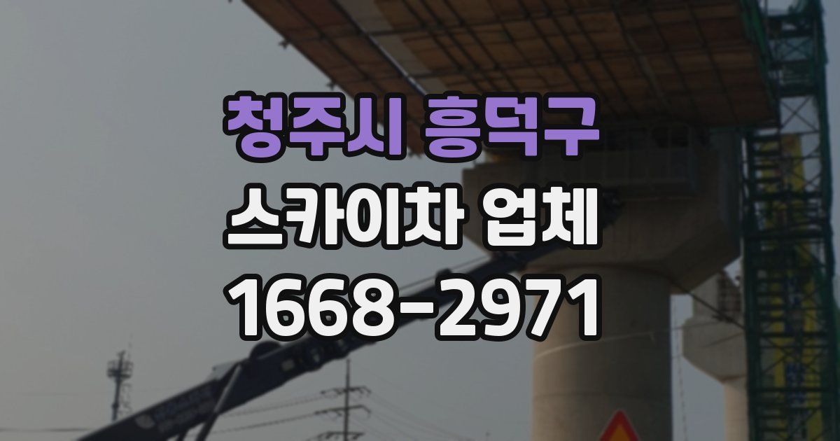 청주시 흥덕구 스카이차 업체