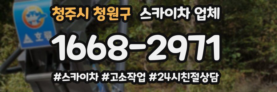 청주시 청원구 스카이차 업체