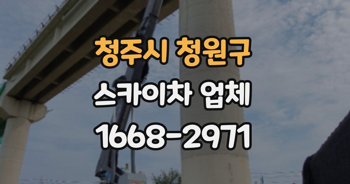 청주시 청원구 스카이차 업체