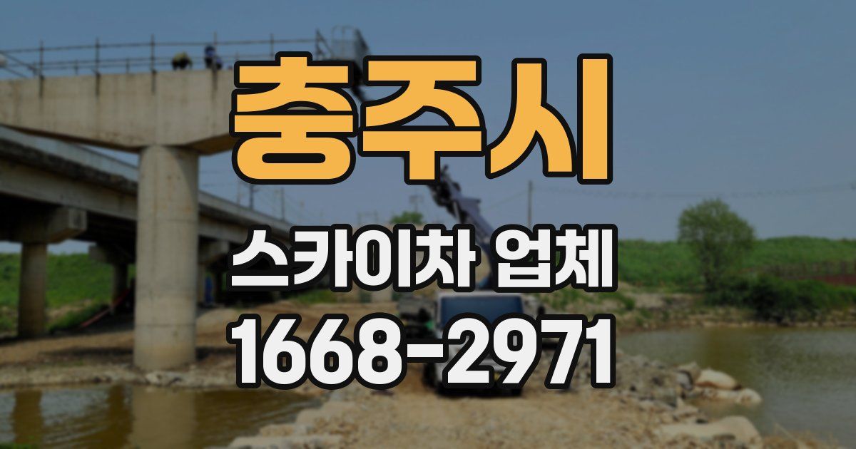 충주시 스카이차 업체