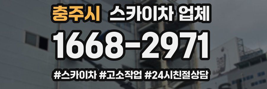 충주시 스카이차 업체