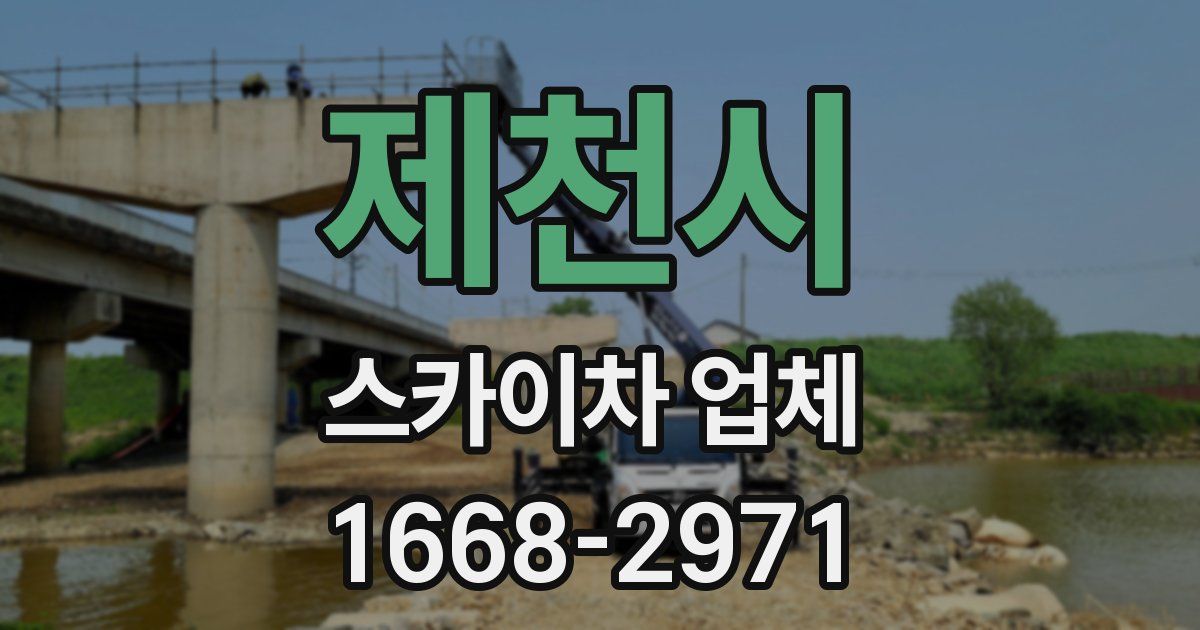 제천시 스카이차 업체