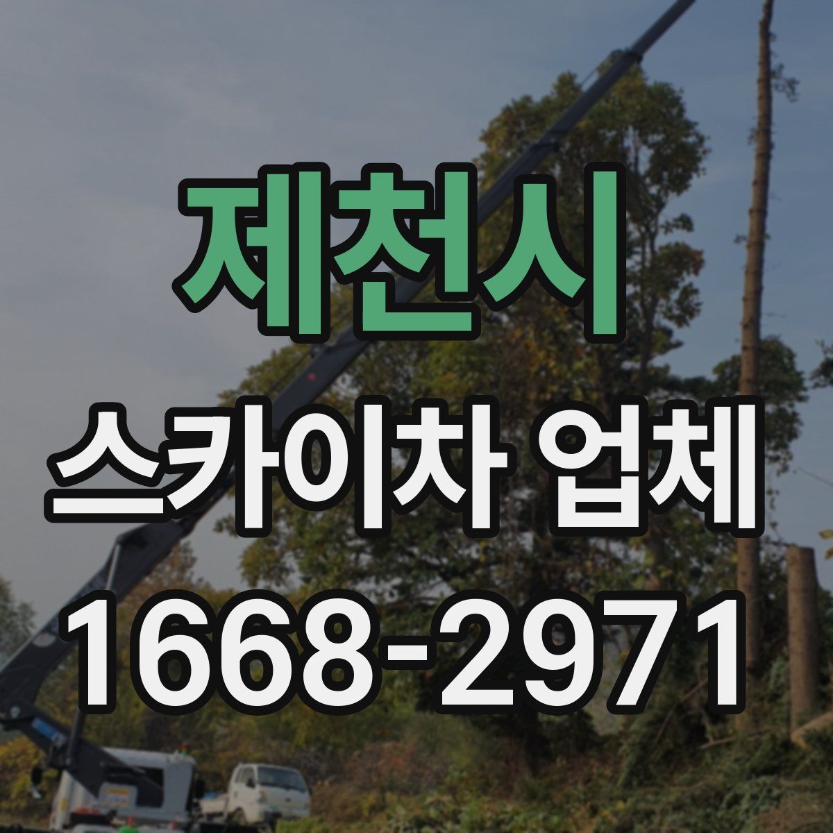 제천시 스카이차 업체