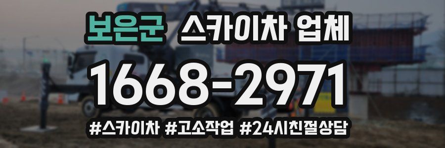 보은군 스카이차 업체