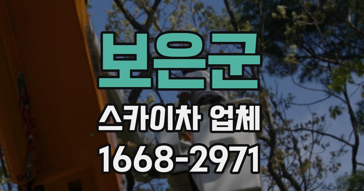 보은군 스카이차 업체