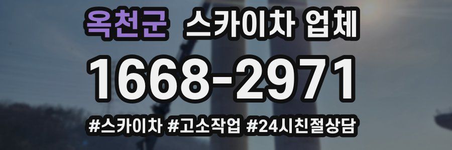 옥천군 스카이차 업체