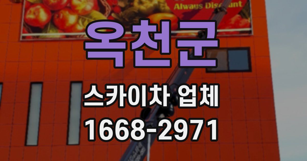옥천군 스카이차 업체