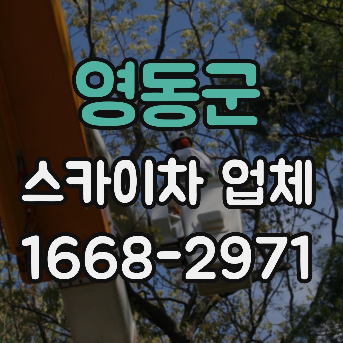 영동군 스카이차 업체