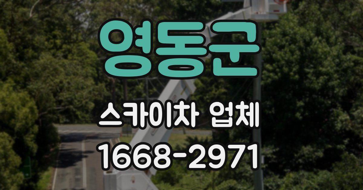 영동군 스카이차 업체