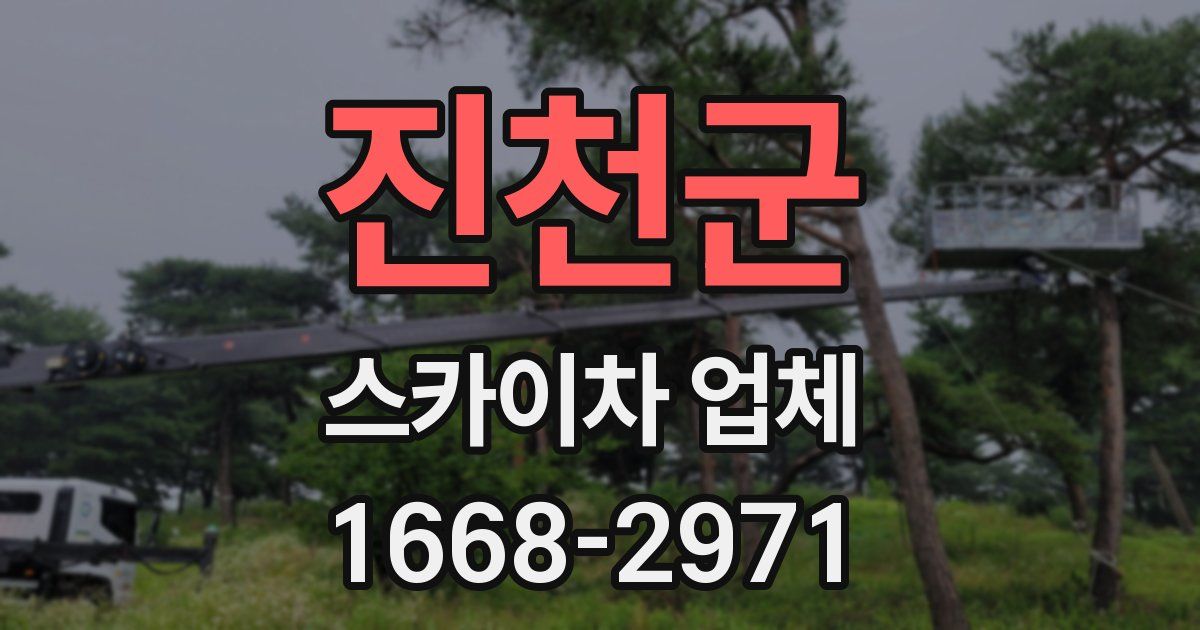 진천군 스카이차 업체