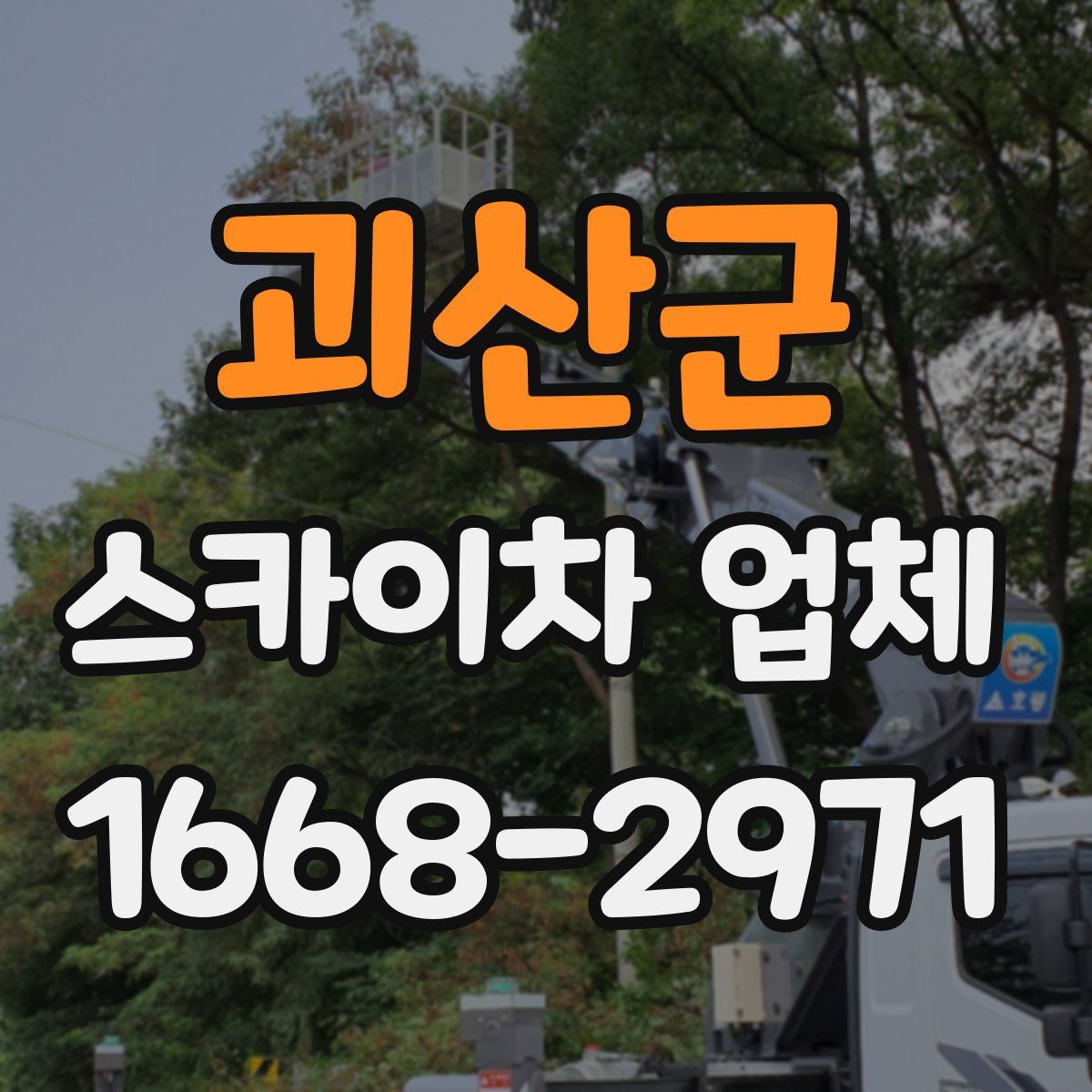 괴산군 스카이차 업체