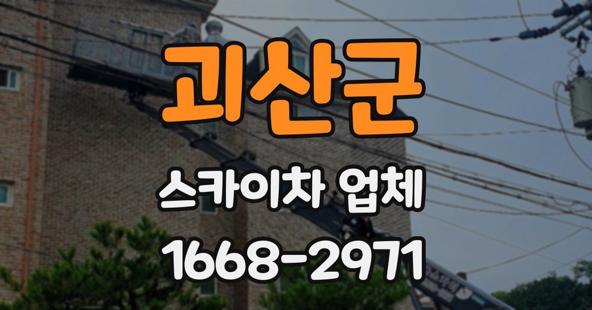 괴산군 스카이차 업체