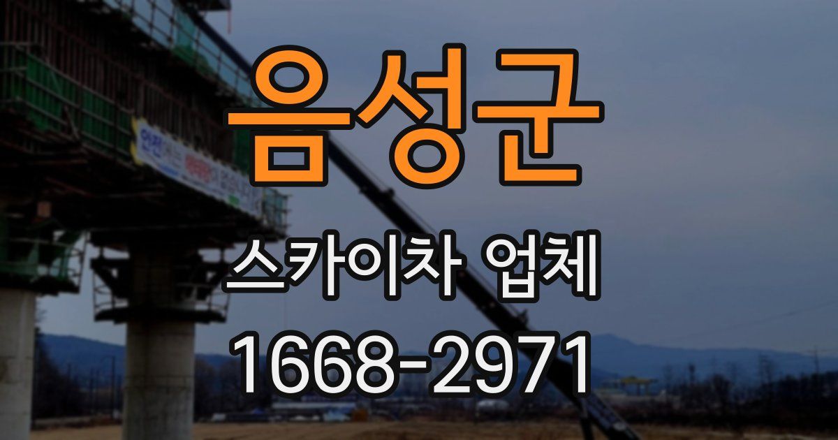 음성군 스카이차 업체