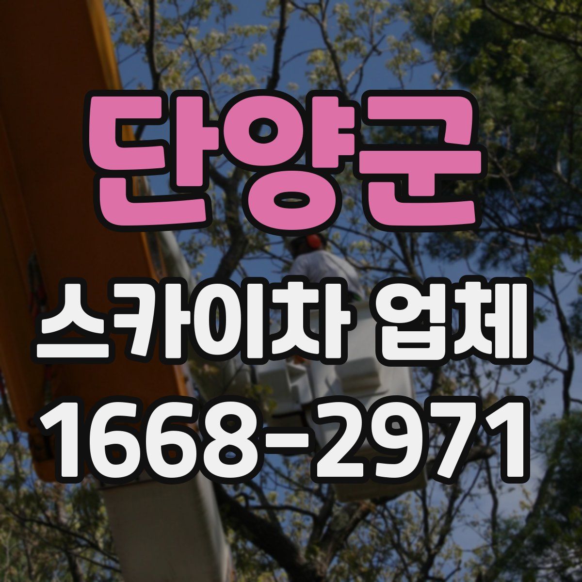 단양군 스카이차 업체