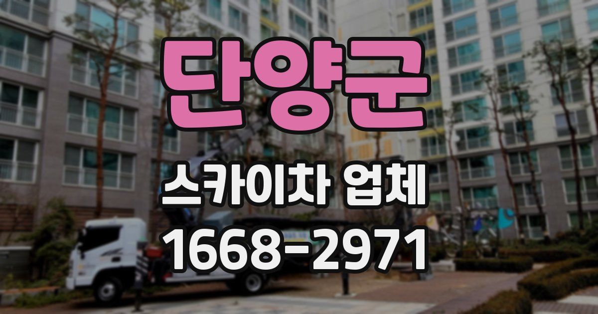 단양군 스카이차 업체