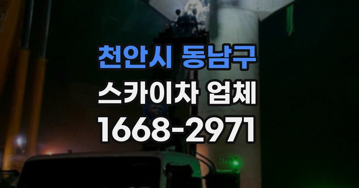 천안시 동남구 스카이차 업체