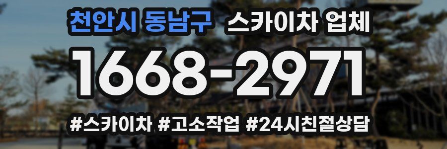 천안시 동남구 스카이차 업체