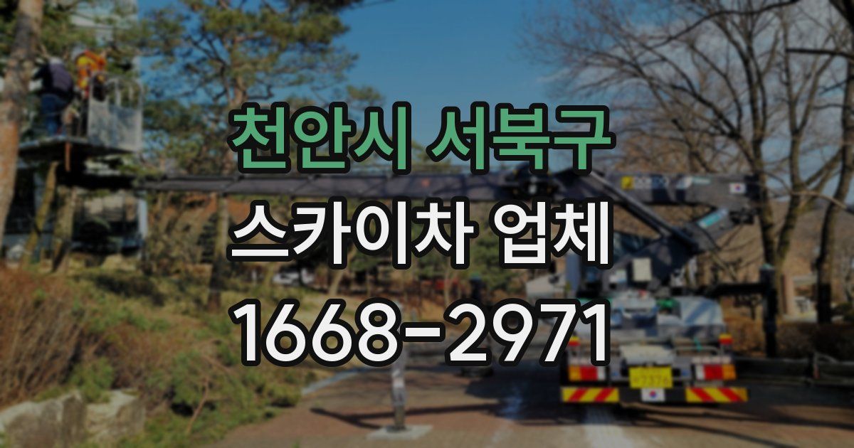 천안시 서북구 스카이차 업체