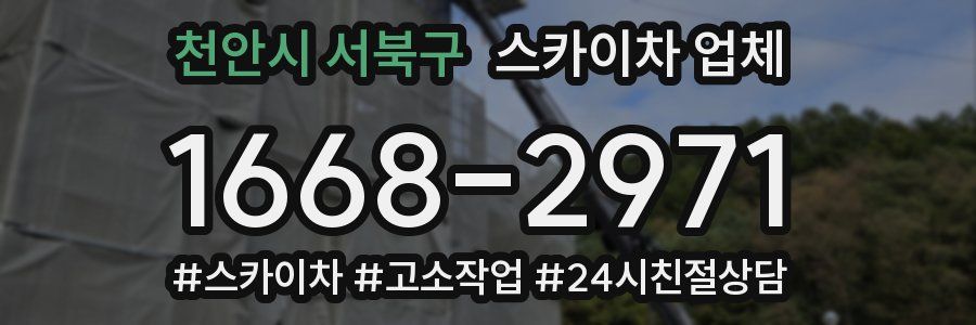 천안시 서북구 스카이차 업체