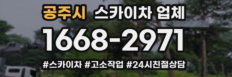 공주시 스카이차 업체