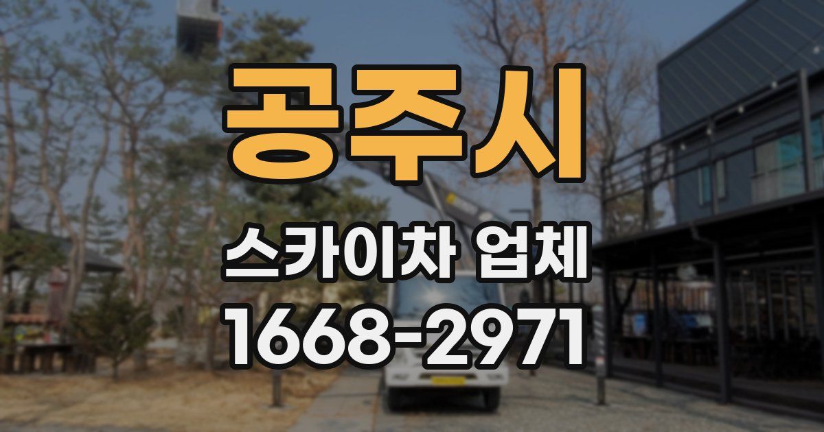 공주시 스카이차 업체