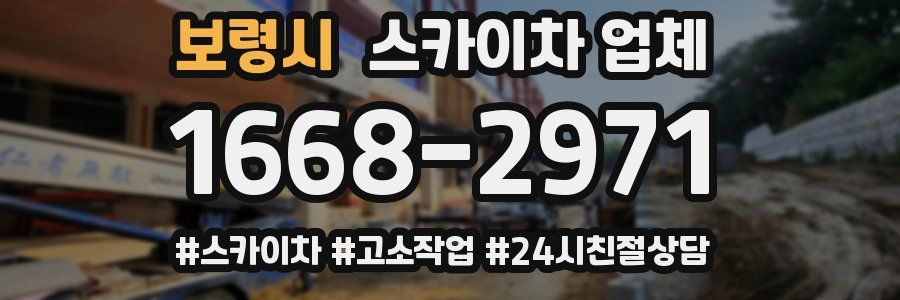 보령시 스카이차 업체