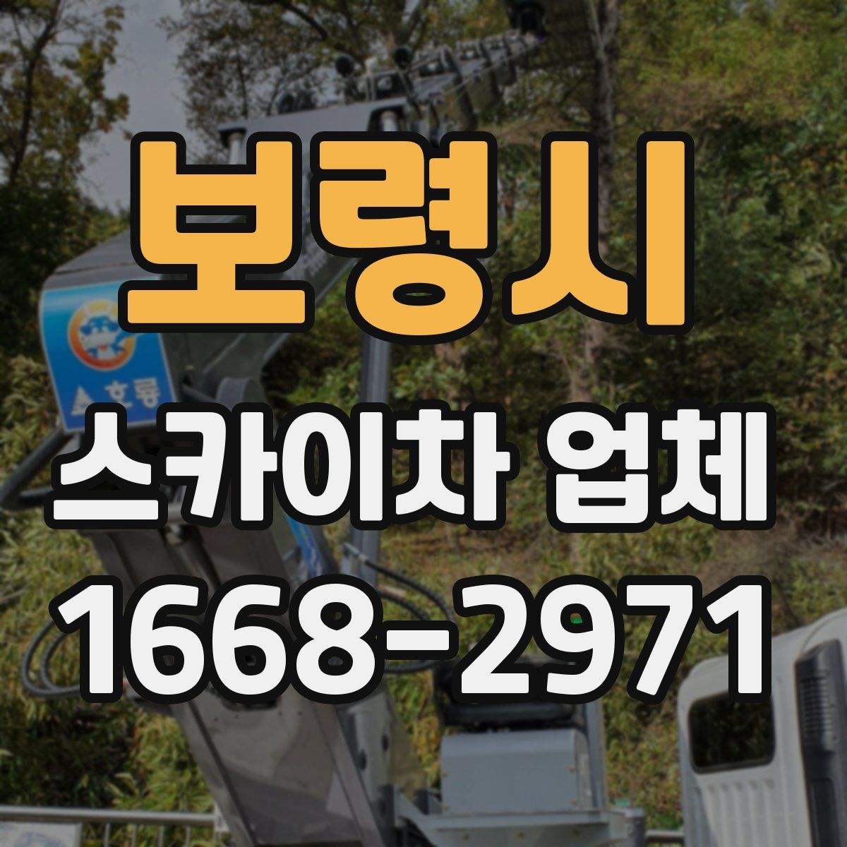 보령시 스카이차 업체