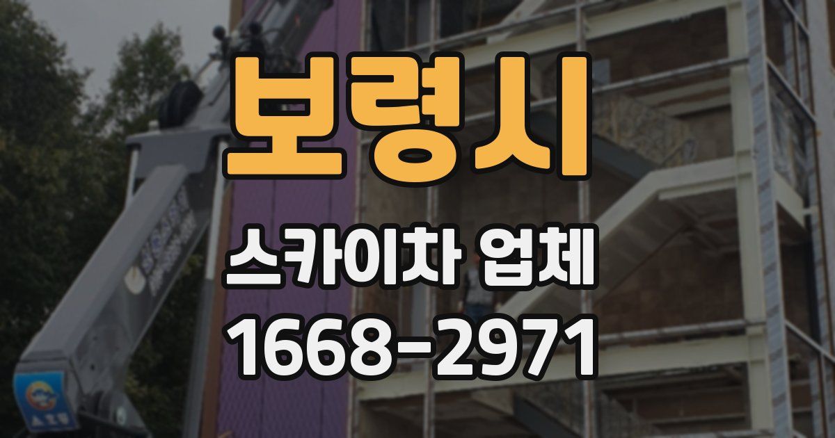 보령시 스카이차 업체