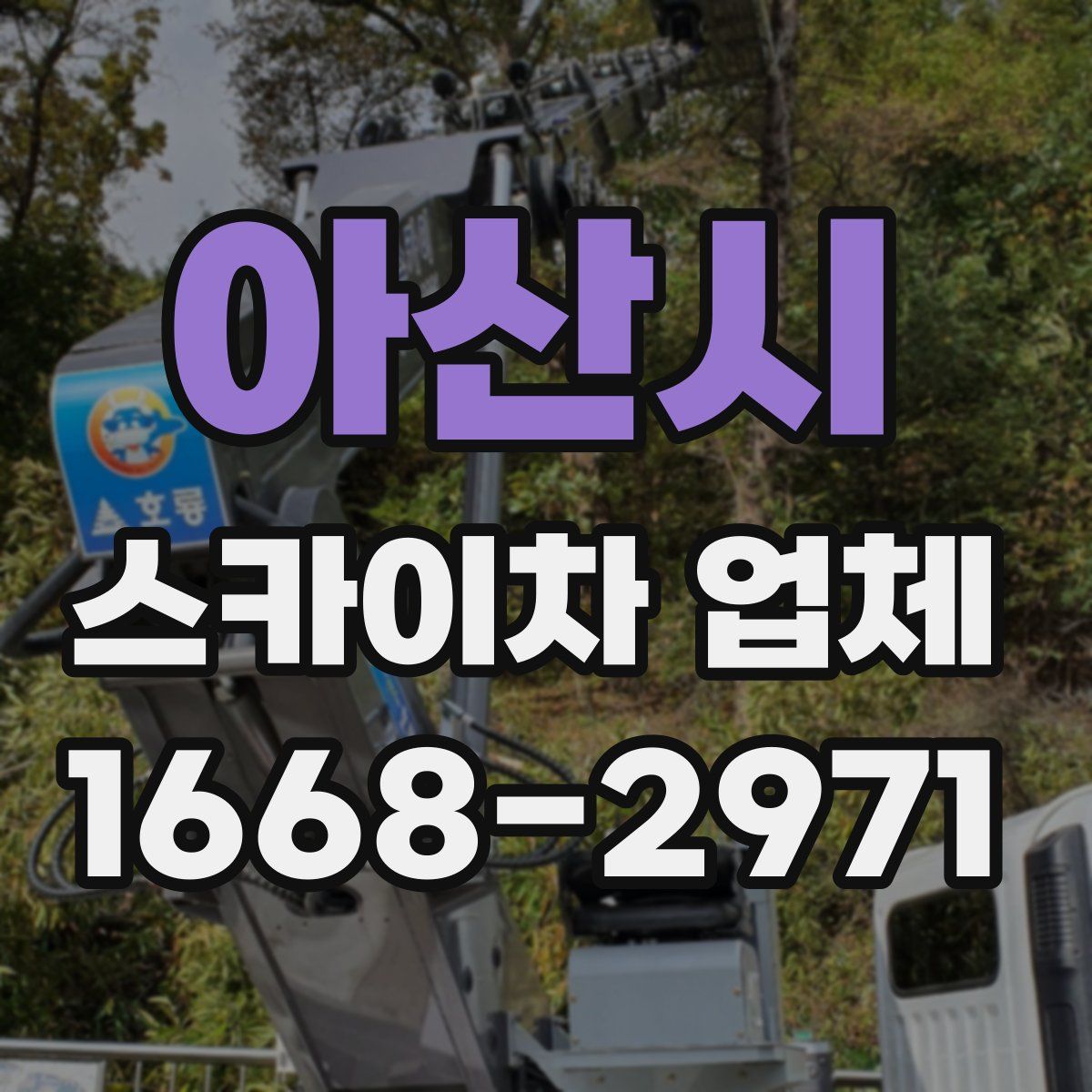 아산시 스카이차 업체