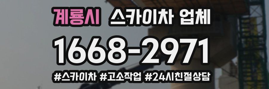계룡시 스카이차 업체