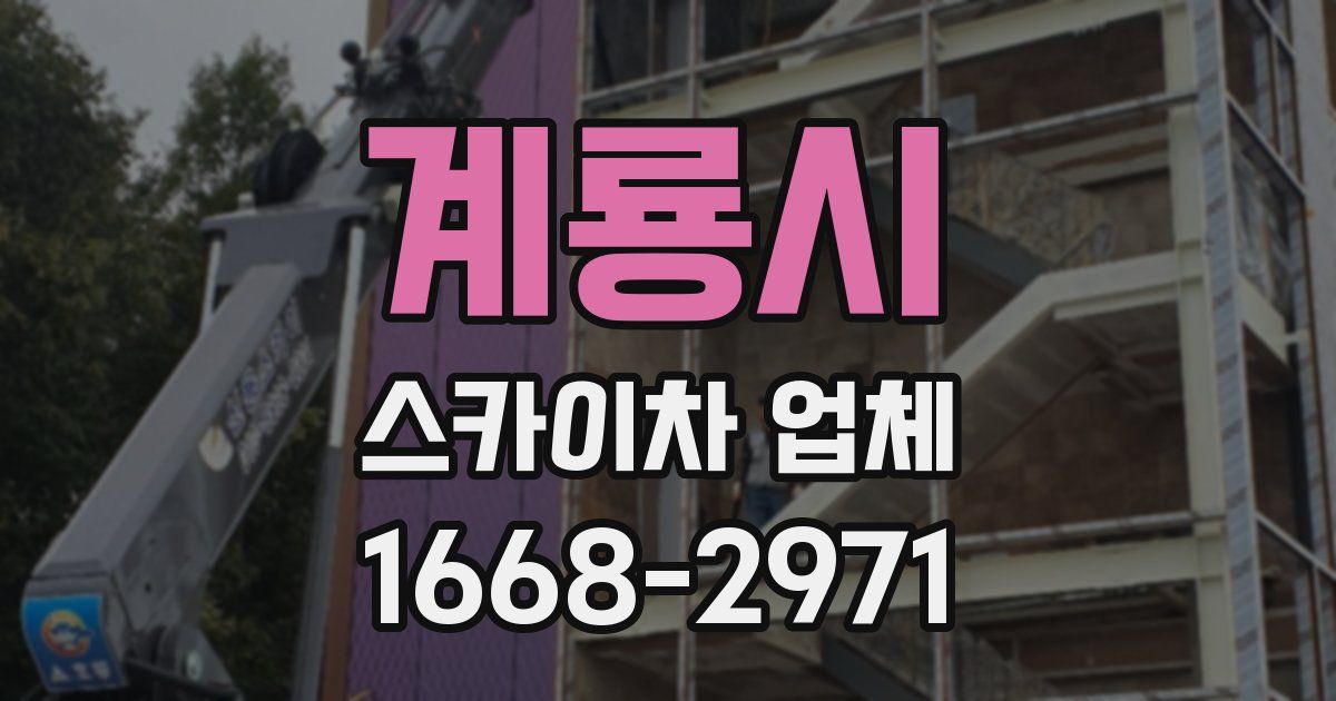 계룡시 스카이차 업체