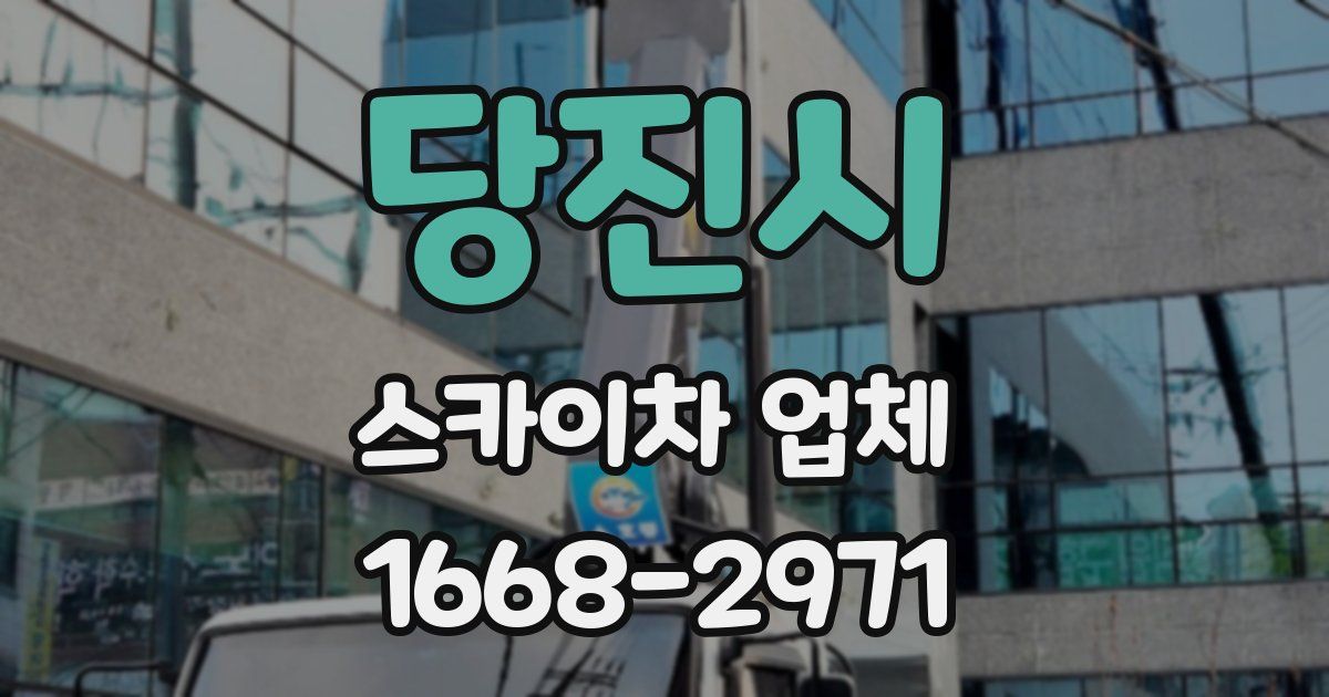 당진시 스카이차 업체