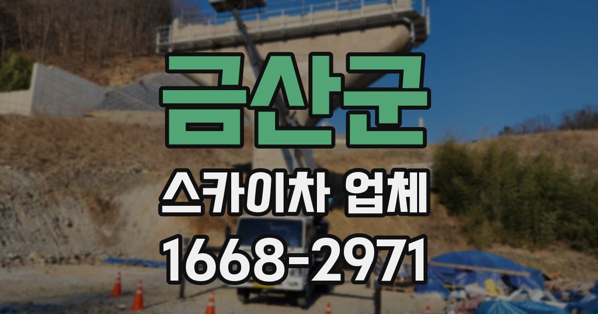 금산군 스카이차 업체