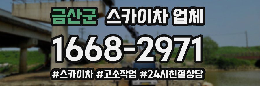 금산군 스카이차 업체