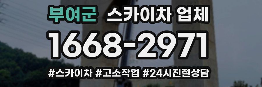 부여군 스카이차 업체