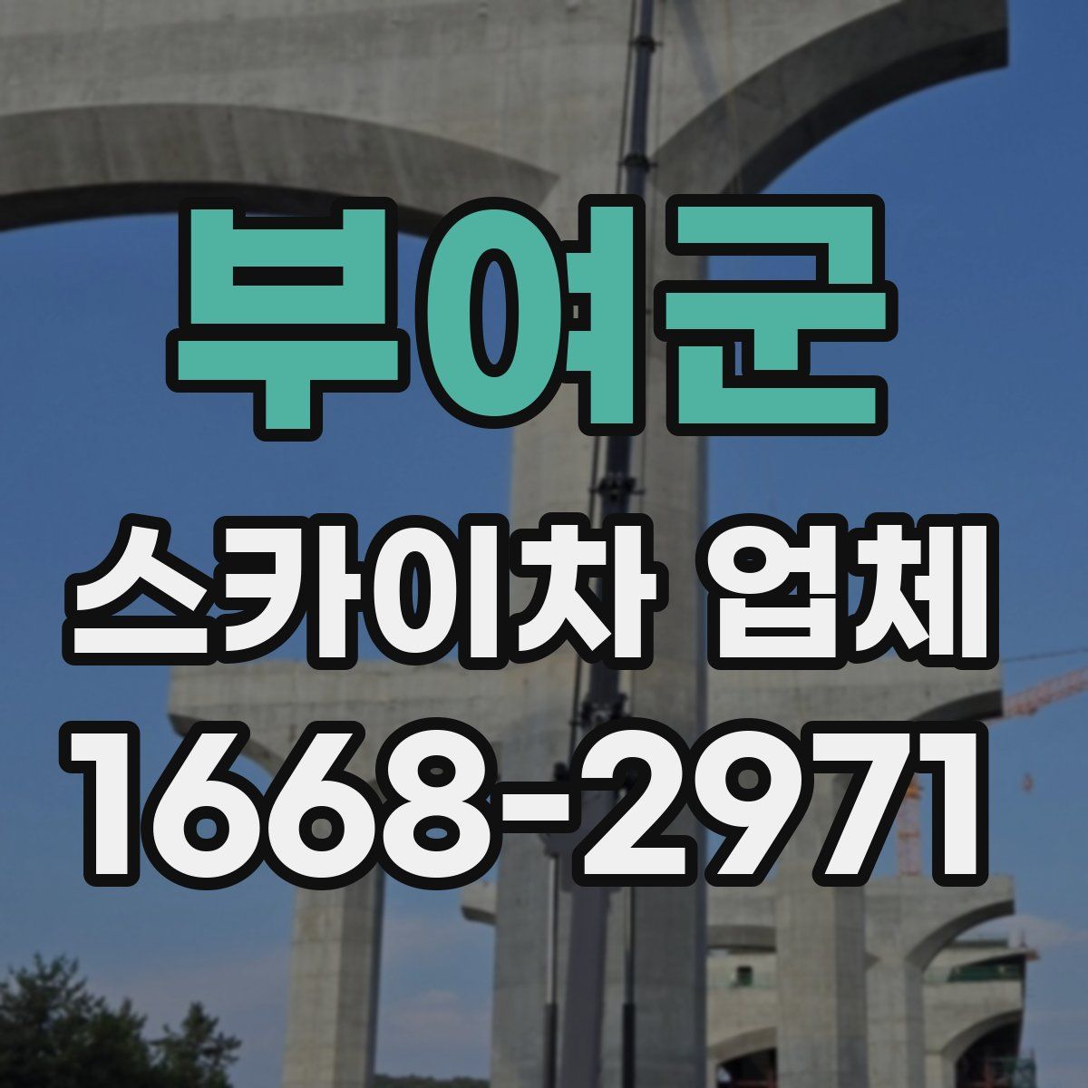 부여군 스카이차 업체