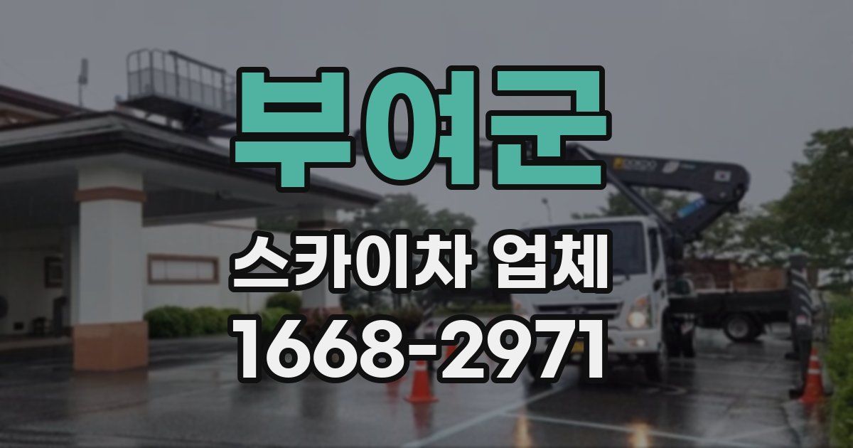 부여군 스카이차 업체